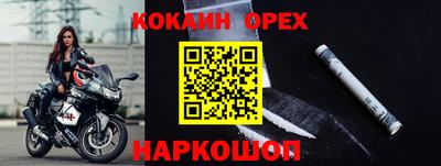 дурь Камышлов