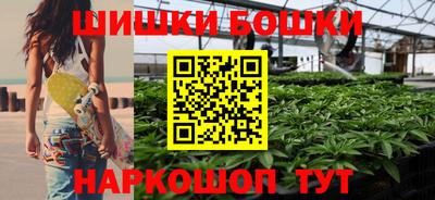 дурь Камышлов